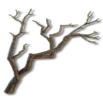 Corrupted Roots