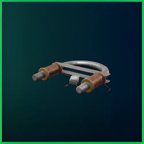 Magnet