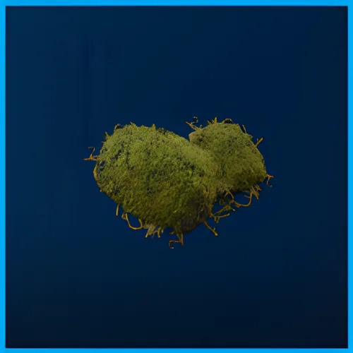 Moss