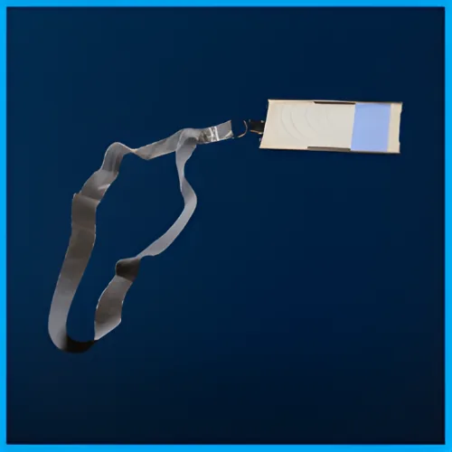 Blue Cellar Gate Key