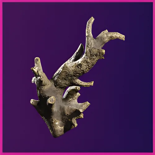 Fossilized Lightning