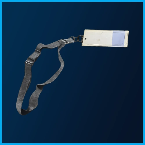 Blue Gate Cellar Key